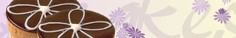Header Graphic
